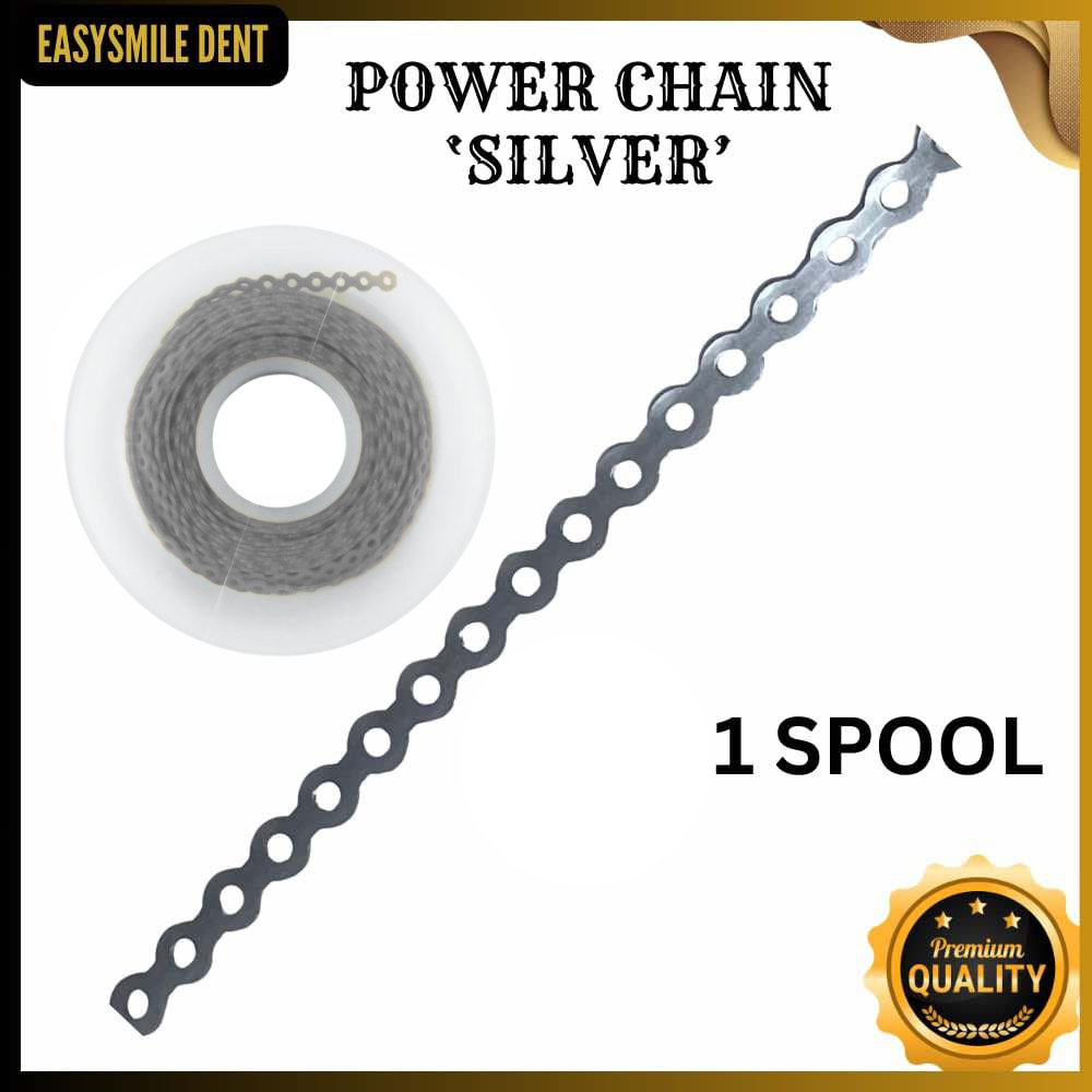 (SHORT) Silver 1 spool Echain